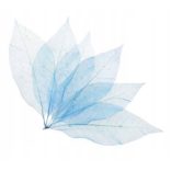 Brait Légfrissítő folyadék 50ml Falevelek - Night Sapphire