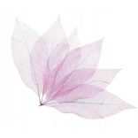 Brait Légfrissítő folyadék 50ml Falevelek - Romantic Ruby