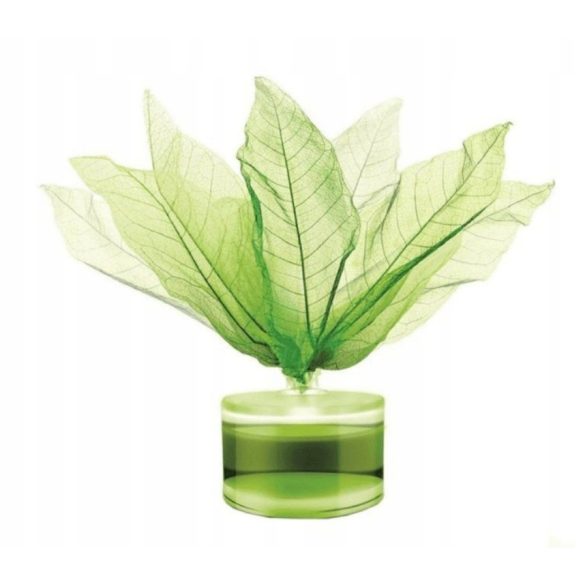 Brait Légfrissítő folyadék 50ml Falevelek - Green Diamond